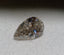 5.01 CT IGI Pear Shaped Natural Diamond H SI2