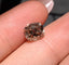 GIA 3.01 CT Natural Antique Cushion Fancy Dark Yellowish Brown VS2