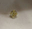 0.50 CT Natural Cushion Cut Yellow SI1