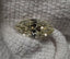 GIA 1.30 CT Natural Marquise O-P SI2 XX