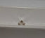 GIA 0.50 CT Natural Round N VVS1 Slight Brown