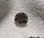 GIA 1.61 CT Natural Round Cut WX Light Brown VS2 XXX