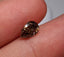 1.02 CT Natural Salt & Pepper-Like Pear Cut Imperfect