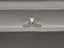 IGI 1.90 CT Natural Marquise Brilliant L SI2 EX EX