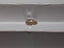 1.01 CT Natural Pear Cut Light Brown SI1