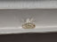 GIA 1.21 CT Natural Oval Brilliant UV VS1 EX VG