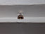 1.00 CT Natural Light Brown Radiant Cut I1