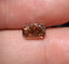 GIA 1.52 CT Natural Radiant Fancy Dark Yellowish Brown VVS2 EX/GD
