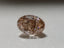 GIA 1.52 CT Natural Oval Modified Brilliant UV Light Brown  VVS2 EX VG
