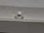 IGI 2.51 CT Natural Oval Brilliant H SI2