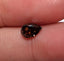 1.02 CT Natural Deep Orangish-Red Pear Cut SI1