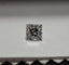 0.63 CT Natural Princess Cut G+ VS