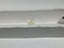 0.71 CT Round Brilliant Natural Diamond M I1