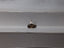 1.02 CT Natural Salt & Pepper-Like Pear Cut Imperfect