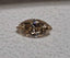 GIA 1.00 CT Natural Marquise Cut Fancy Light-Brown/Yellow Even SI2 EX VG