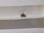 GIA 1.50 CT Natural Cushion Fancy Dark Yellowish Brown VS1 EX VG