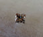 0.33 CT Natural Clover Cut Diamond G-H SI-VS