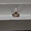 GIA XXX 2.00 CT Natural Round Brilliant W-X SI1