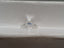 GIA 1.00 CT Natural Oval Brilliant F SI2 EX VG